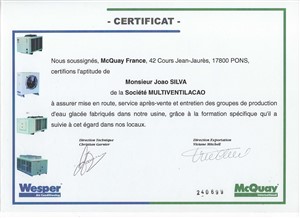 Certificado 7